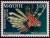 Colnect-850-931-Red-Lionfish-Pterois-volitans.jpg