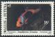Colnect-897-387-Tomato-Clownfish-Amphiprion-frenatus.jpg