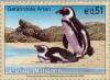 Colnect-139-250-African-Penguin-Spheniscus-demersus.jpg