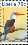 Colnect-1641-800-Grey-headed-Kingfisher-Halcyon-leucocephala.jpg