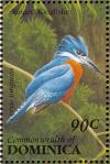 Colnect-1748-063-Ringed-Kingfisher-Ceryle-torquata.jpg