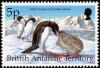 Colnect-2160-001-Adelie-Penguin-Pygoscelis-adeliae.jpg