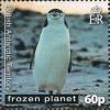 Colnect-2887-996-Chinstrap-Penguin-Pygoscelis-antarcticus.jpg