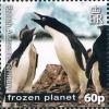 Colnect-2888-033-Adelie-Penguin-Pygoscelis-adeliae.jpg