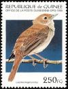 Colnect-868-367-Common-Nightingale-Luscinia-megarhynchos.jpg