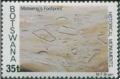 Colnect-1753-327-Matsieng-rsquo-s-footprints.jpg