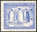 Colnect-1990-111-Emperor-Penguin-Aptenodytes-forsteri.jpg