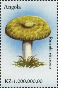 Colnect-2990-357-Green-cracking-Russula-Russula-virescens.jpg