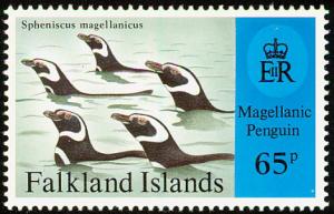 Colnect-1674-598-Magellanic-Penguin-Spheniscus-magellanicus.jpg