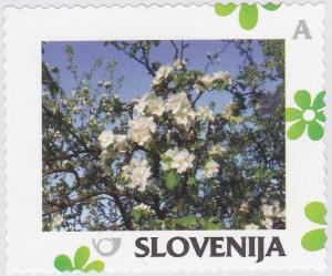 Colnect-2372-370-Spring-Blossoming-apple.jpg