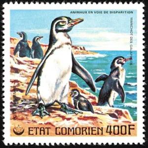 Colnect-3669-503-Galapagos-Penguin%C2%A0Spheniscus-mendiculus.jpg