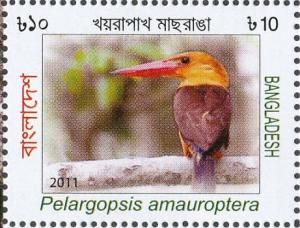 Colnect-4595-166-Brown-winged-Kingfisher-Pelargopsis-amaroptera.jpg