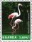 Colnect-4804-827-Chilean-Flamingo-Phoenicopterus-chilensis.jpg