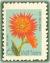 Colnect-1626-952-Orange-cactus-dahlias.jpg
