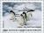 Colnect-2564-188-Adelie-Penguin-Pygoscelis-adeliae.jpg