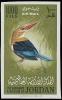 Colnect-4861-166-Grey-headed-Kingfisher-Halcyon-leucocephala.jpg