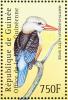 Colnect-3804-319-Grey-headed-Kingfisher-Halcyon-leucocephala.jpg