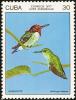 Colnect-2307-528-Bee-Hummingbird-Mellisuga-helenae.jpg