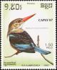 Colnect-1523-492-Grey-headed-Kingfisher-Halcyon-leucocephala.jpg
