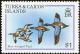 Colnect-1764-336-Blue-winged-Teal%C2%A0Anas-discors.jpg