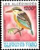 Colnect-2631-916-Striped-Kingfisher-Halcyon-chelicuti.jpg