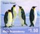 Colnect-3274-168-Emperor-Penguin-Aptenodytes-forsteri.jpg