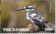 Colnect-4029-024-Pied-Kingfisher%C2%A0Ceryle-rudis.jpg