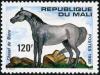 Colnect-2000-321-Horse-from-Nioro-Equus-ferus-caballus.jpg