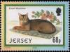 Colnect-5155-950-Usual-Abyssinian-Felis-silvestris-catus.jpg