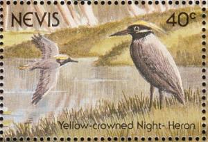Colnect-1646-407-Yellow-crowned-Night-Heron-Nyctanassa-violacea.jpg
