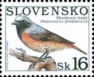 Common-Redstart-Phoenicurus-phoenicurus.jpg