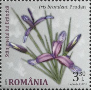 Stamps_of_Romania%2C_2015-051.jpg