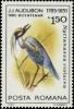 Colnect-5816-596-Yellow-crowned-Night-Heron-Nyctanassa-violacea.jpg