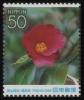 Colnect-4064-833-Camellia-japonica-L-var-Intermedia-Tuyama.jpg
