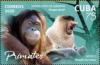 Colnect-7459-898-Monkey-and-Orangutan.jpg