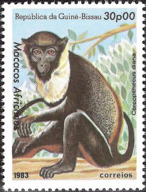 Colnect-1167-118-Diana-Monkey-Cercopithecus-diana.jpg