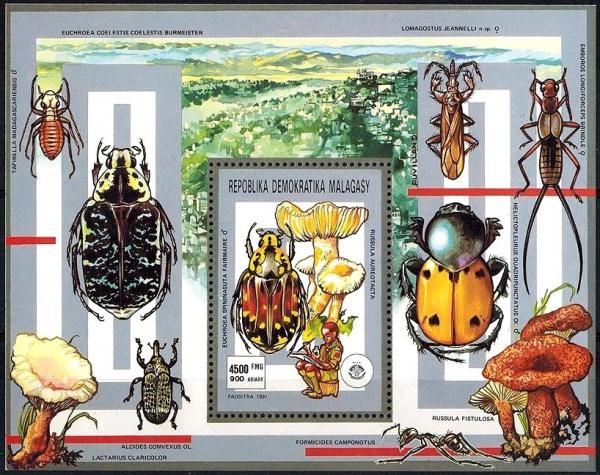 Colnect-2947-554-Beetle-Euchroea-spinnasuta-Mushroom-Russula-aureotacta.jpg