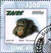 Colnect-3787-166-Bonobo-Pan-paniscus.jpg