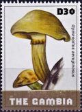 Colnect-5014-931-Gymnopilus-aeruginosus.jpg