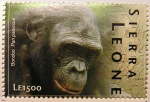 Colnect-1469-452-Bonobo-Pan-paniscus.jpg