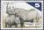 Colnect-964-802-Black-Rhinoceros-Diceros-bicornis.jpg