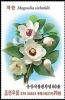 Colnect-5840-429-Oyama-Magnolia-Magnolia-sieboldii.jpg