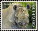 Colnect-4934-820-Black-Rhinoceros-Diceros-bicornis.jpg