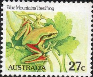 Colnect-6129-620-Blue-Mountains-Tree-Frog-Litoria-citropa.jpg