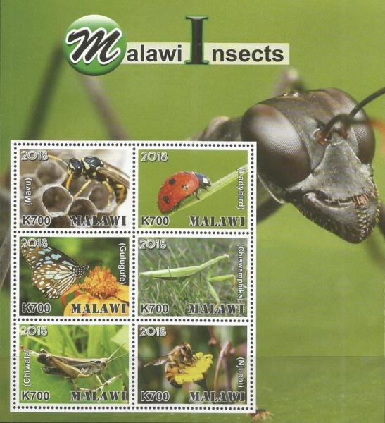Colnect-5577-091-Insects-of-Malawi.jpg
