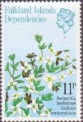Colnect-1954-514-Antarctic-Bedstraw.jpg