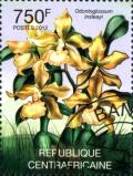 Colnect-3075-285-Odontoglossum-insleayi.jpg