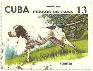 Colnect-1726-395-English-Pointer-Canis-lupus-familiaris.jpg
