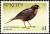 Colnect-1659-333-Lesser-Antillean-Bullfinch-nbsp-.jpg
