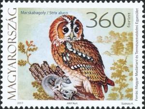 Colnect-4262-412-Tawny-Owl-Strix-aluco.jpg